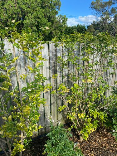 74971C7B-164B-4FC1-BC35-6C08699FA7FA.jpeg 74971C7B-164B-4FC1-BC35-6C08699FA7FA.jpeg