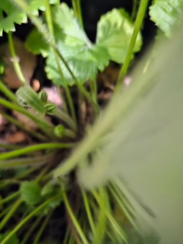 1000032323.jpg 1000032323.jpg