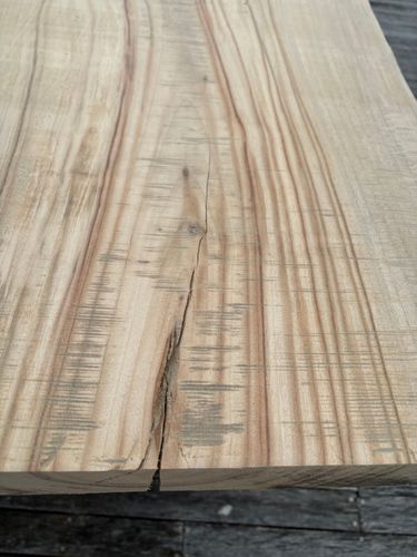 IMG_5395.jpeg IMG_5395.jpeg