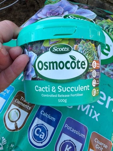 IMG_1196.jpeg IMG_1196.jpeg