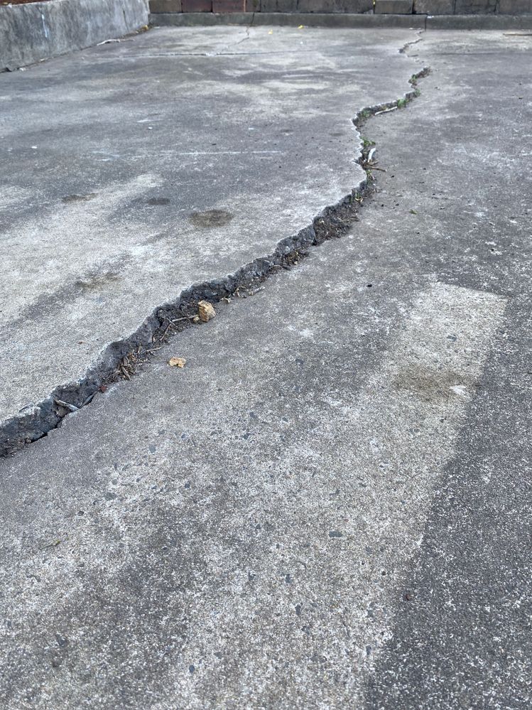 IMG_3886.JPG IMG_3886.JPG