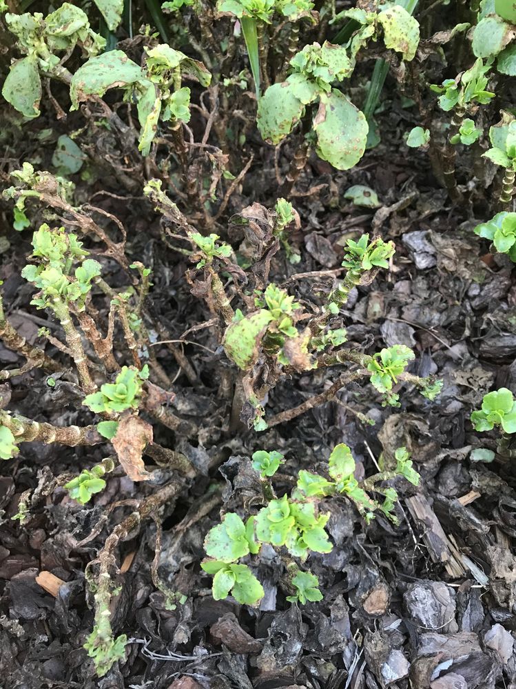 20250415103408.jpg 20250415103408.jpg