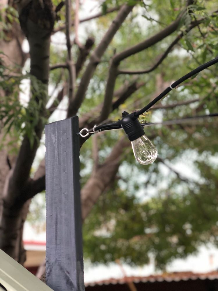 backyardlights3.jpg backyardlights3.jpg