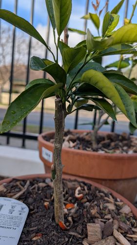 1000016635.jpg 1000016635.jpg