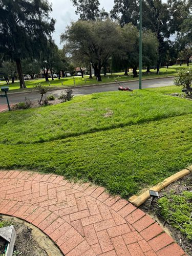 IMG_0588.jpeg IMG_0588.jpeg