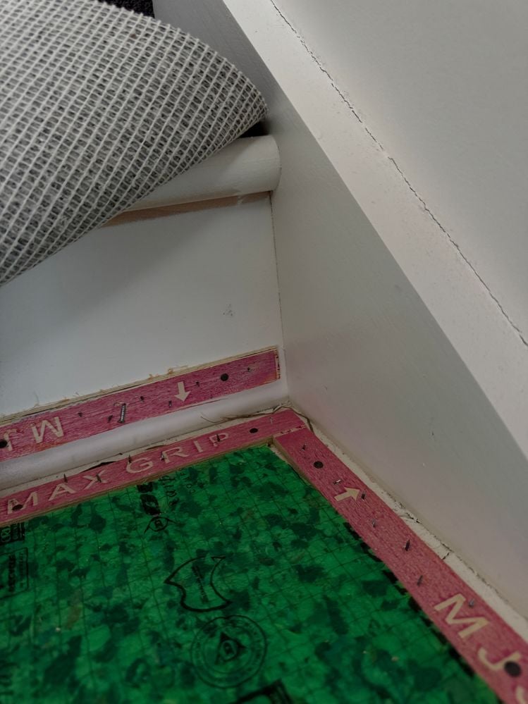 IMG_4494.jpeg IMG_4494.jpeg