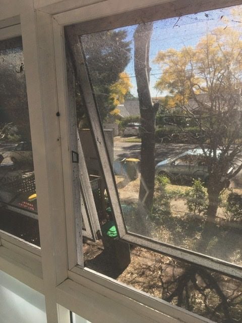 4B13DE7F-D078-4235-A4A4-2A80CEDE2D27.jpeg 4B13DE7F-D078-4235-A4A4-2A80CEDE2D27.jpeg