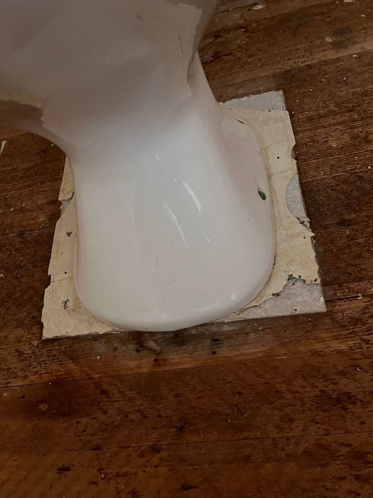 IMG_3561.jpeg IMG_3561.jpeg