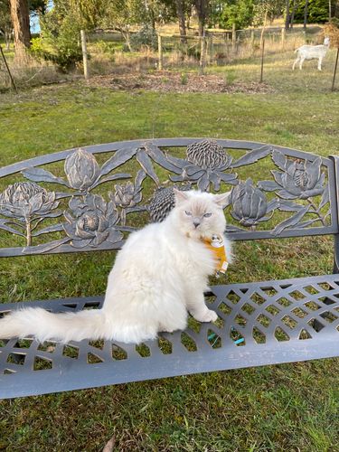 606E75B0-4D8F-4787-A97D-2EA13B780D04.jpeg 606E75B0-4D8F-4787-A97D-2EA13B780D04.jpeg