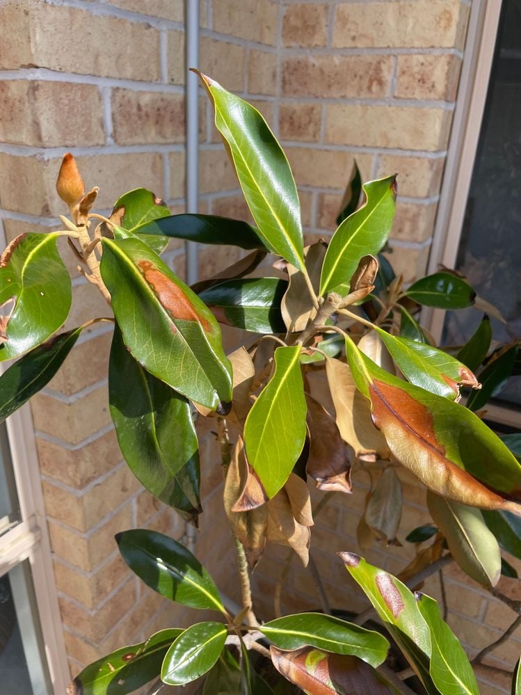 IMG_9069.jpg IMG_9069.jpg