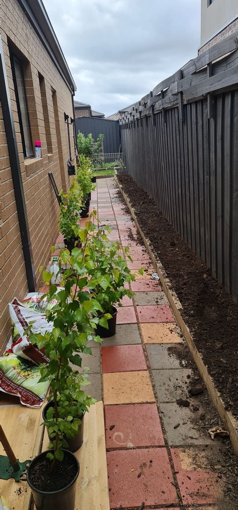 20201031_144133.jpg 20201031_144133.jpg