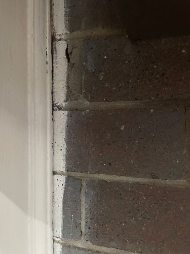 IMG_5244.jpeg IMG_5244.jpeg