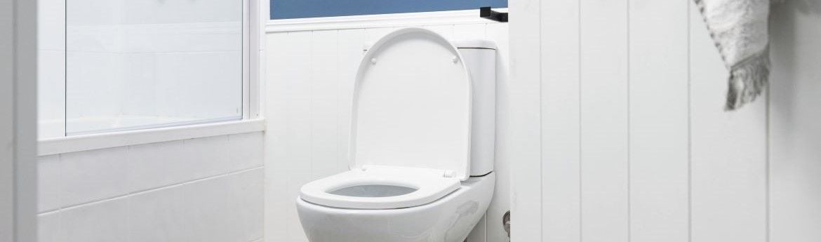 Toilet seat.jpg Toilet seat.jpg