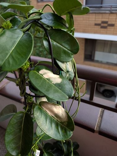 1000018296.jpg 1000018296.jpg