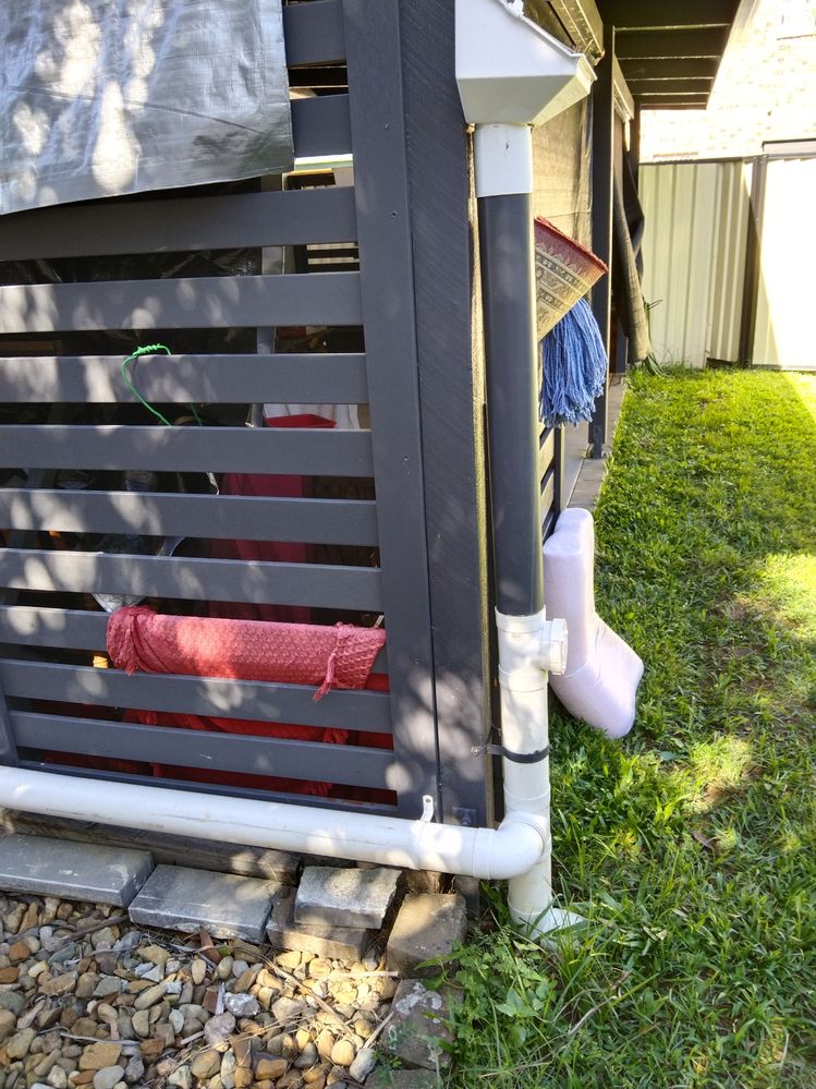 IMG_20250313_145438.jpg IMG_20250313_145438.jpg