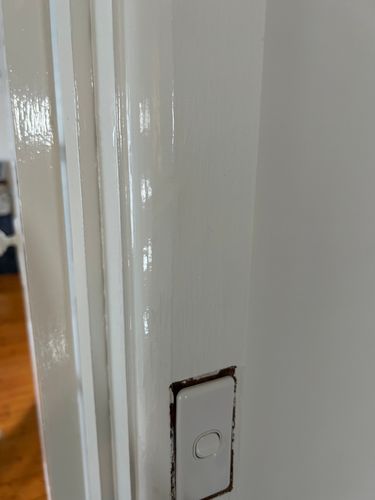 IMG_2733.jpeg IMG_2733.jpeg