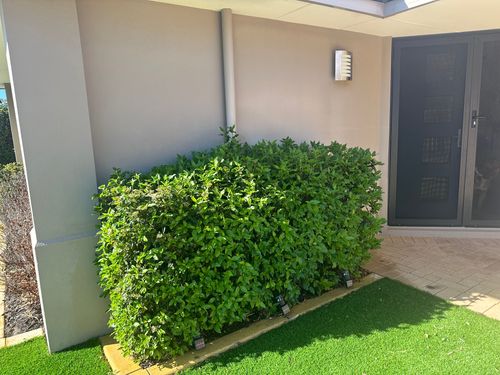 IMG_2280.jpeg IMG_2280.jpeg