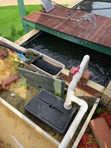 IMG_2767.jpeg IMG_2767.jpeg