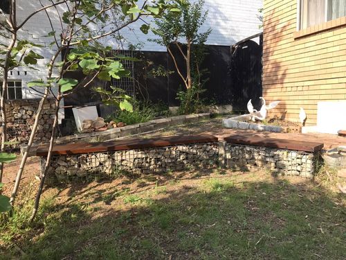 06 23-11-2024.jpg 06 23-11-2024.jpg