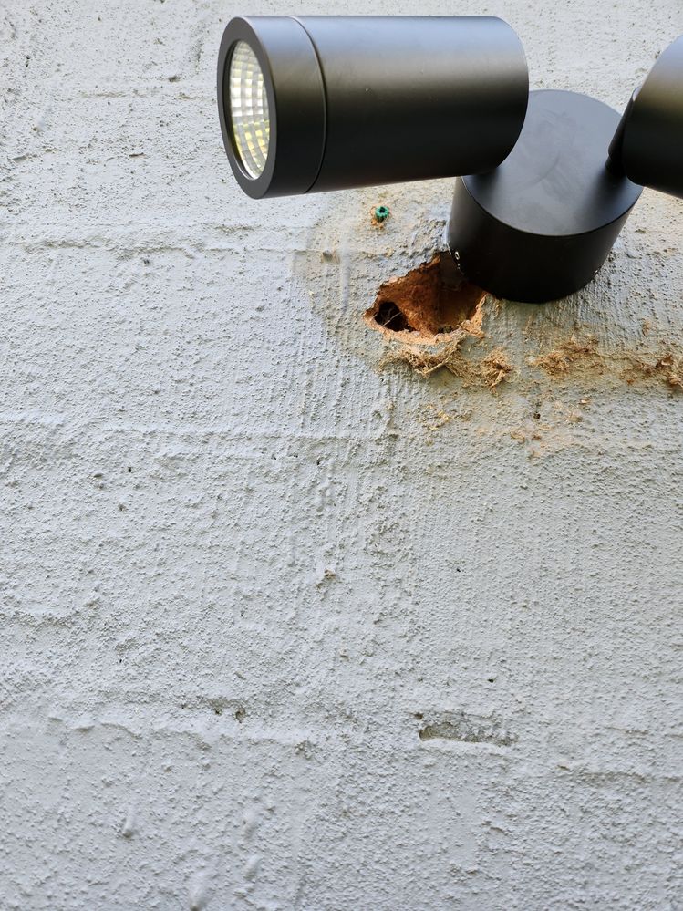 20221019_170741.jpg 20221019_170741.jpg