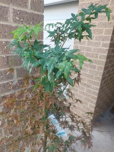 20250421_103019.jpg 20250421_103019.jpg