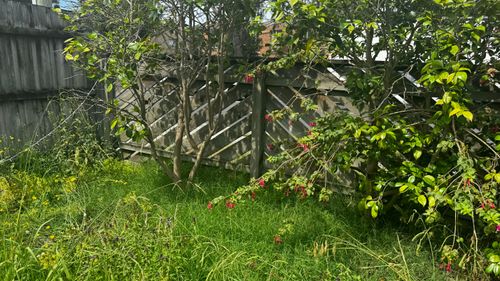 IMG_9846.jpeg IMG_9846.jpeg