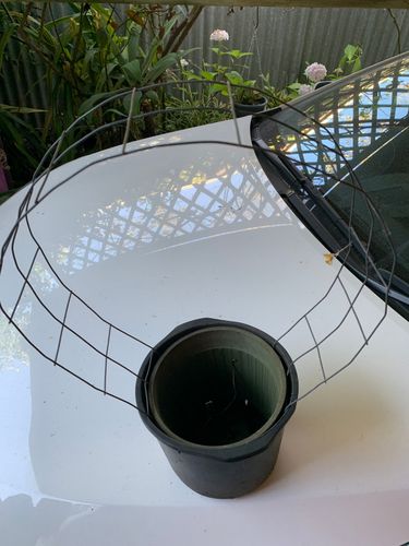 ADF6D822-9BD1-49E2-9B61-1187A90A9757.jpeg ADF6D822-9BD1-49E2-9B61-1187A90A9757.jpeg