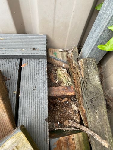 IMG_1699.jpeg IMG_1699.jpeg