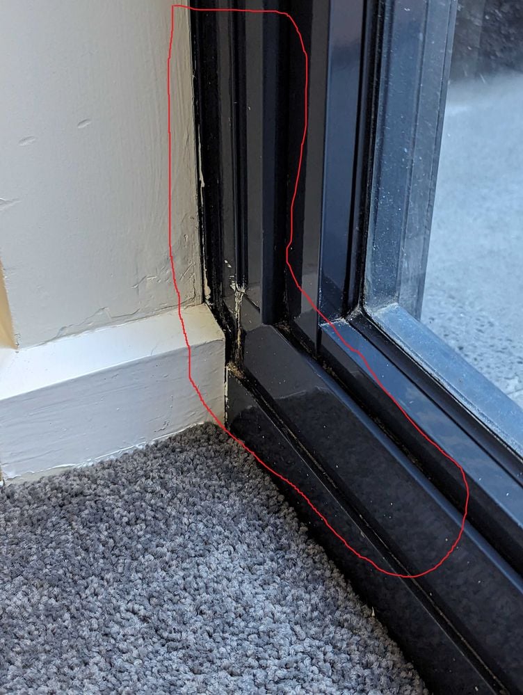 PXL_20240703_015835552.jpg PXL_20240703_015835552.jpg