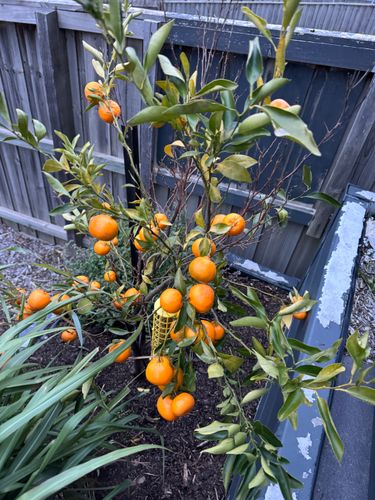 IMG_7267.jpeg IMG_7267.jpeg