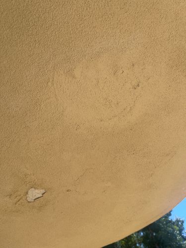 IMG_6704.jpeg IMG_6704.jpeg