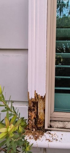 1000066912.jpg 1000066912.jpg