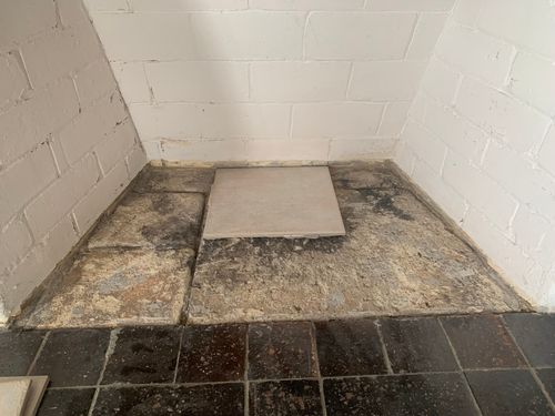 IMG_7956.jpeg IMG_7956.jpeg