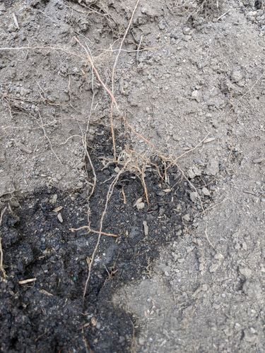 PXL_20250309_231134951.jpg PXL_20250309_231134951.jpg