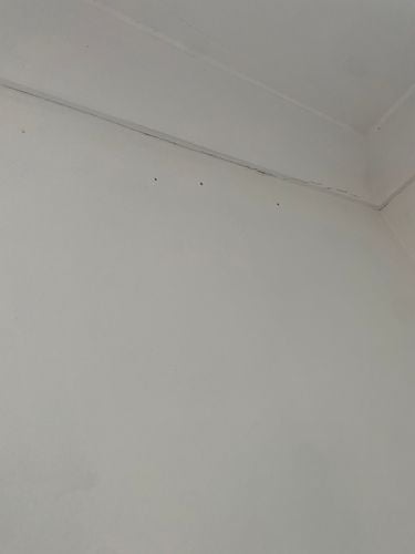 IMG_9104.jpeg IMG_9104.jpeg