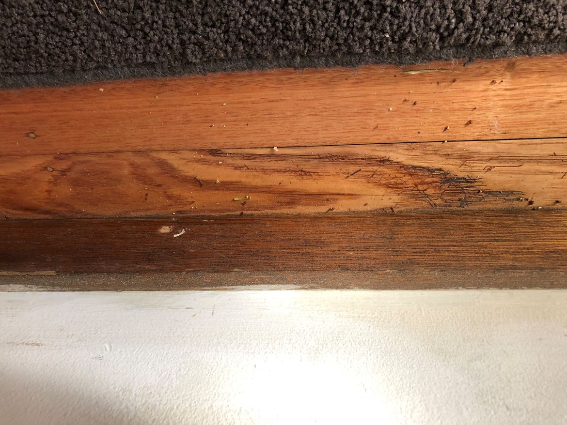 Paint 1.jpg Paint 1.jpg