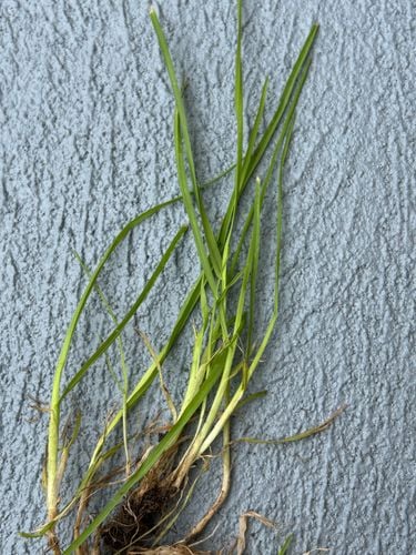 IMG_4849.jpeg IMG_4849.jpeg