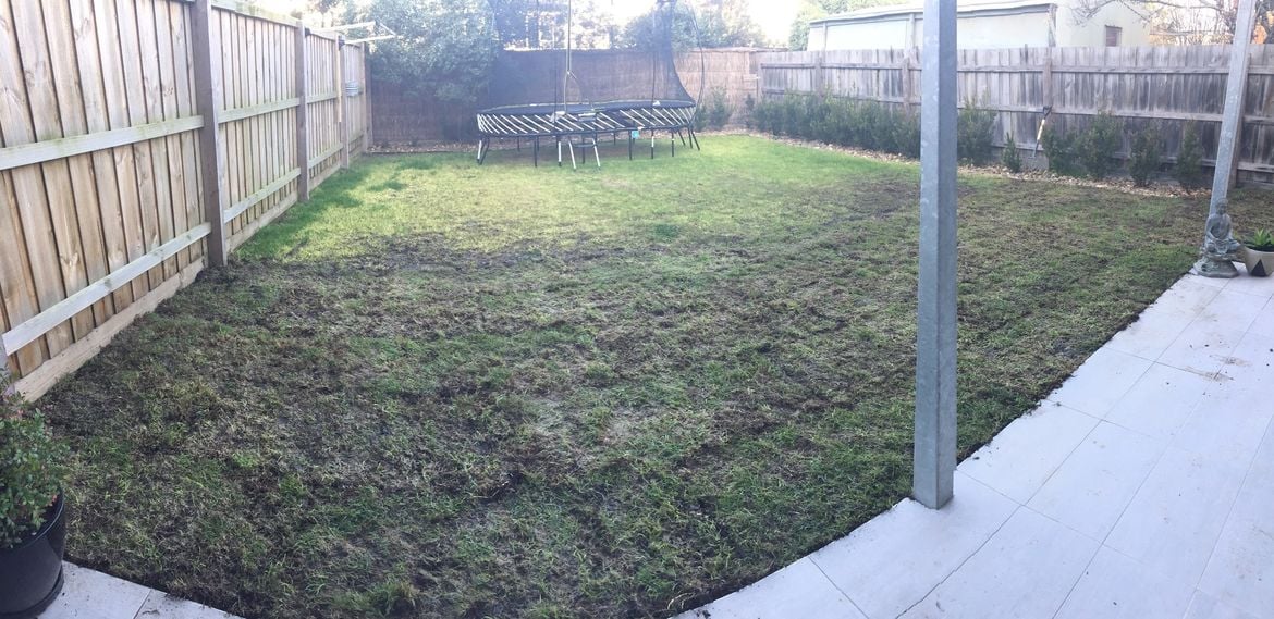 lawn-7.jpg lawn-7.jpg
