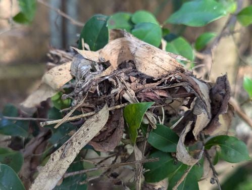 1000005443.jpg 1000005443.jpg