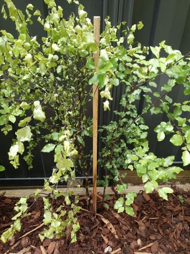 20201029_151551.jpg 20201029_151551.jpg