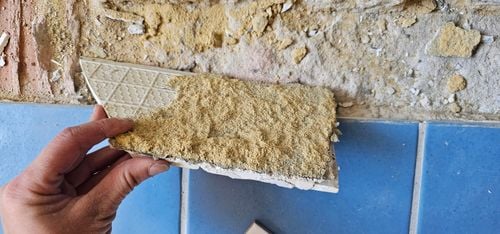 20231222_074532.jpg 20231222_074532.jpg