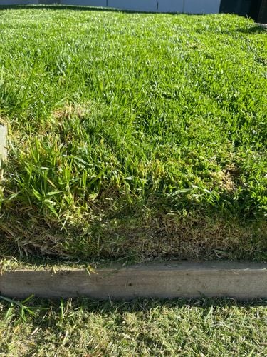 IMG_1211.jpeg IMG_1211.jpeg