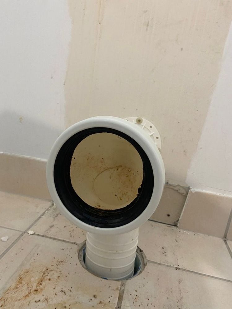 IMG_4902.jpeg IMG_4902.jpeg