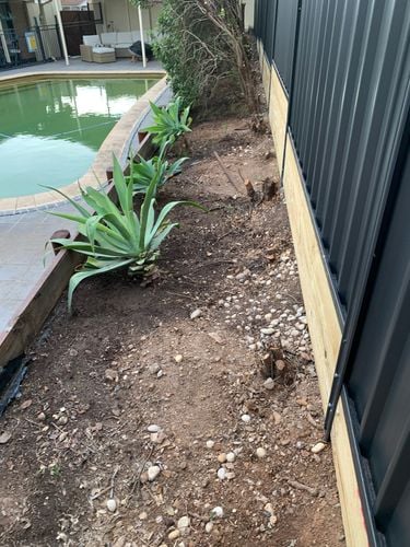 IMG_2026.jpeg IMG_2026.jpeg