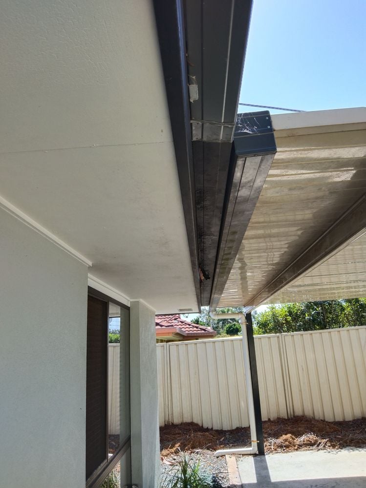 IMG_20241103_134517.jpg IMG_20241103_134517.jpg