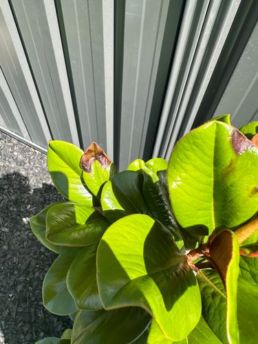 IMG_5136.jpeg IMG_5136.jpeg