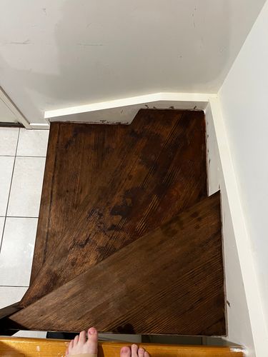 IMG_6653.jpeg IMG_6653.jpeg