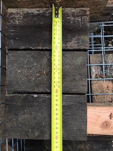 51 24-06-2024.jpg 51 24-06-2024.jpg