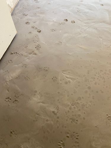 FC11D678-E658-4F04-8882-0405D5553812.jpeg FC11D678-E658-4F04-8882-0405D5553812.jpeg