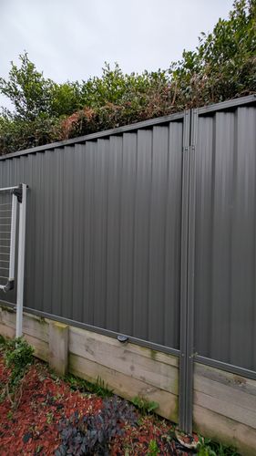 1000062631.jpg 1000062631.jpg